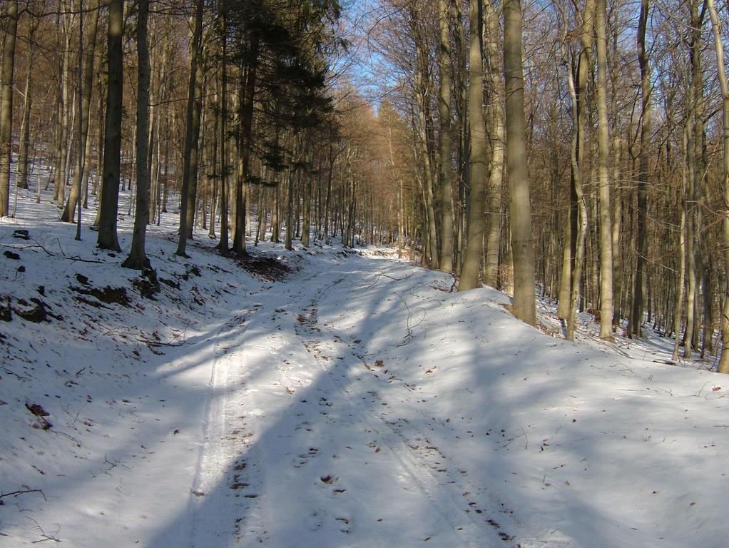 Fliederhof Ferienwohnungen Herresbach Pokój zdjęcie