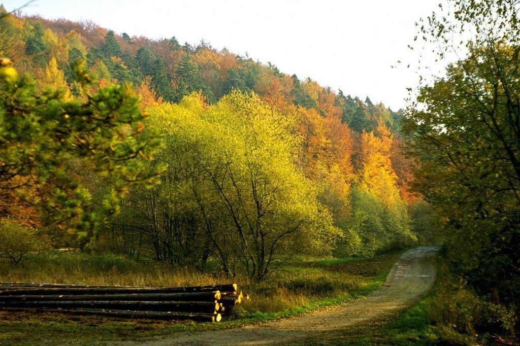 Fliederhof Ferienwohnungen Herresbach Pokój zdjęcie