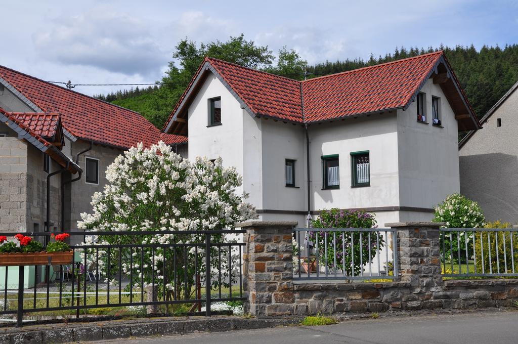 Fliederhof Ferienwohnungen Herresbach Pokój zdjęcie